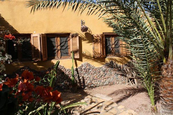 Jillyfish House, Deine Oase In Zwei Palmengarten, Central Am 'Lighthouse' Dahab Esterno foto